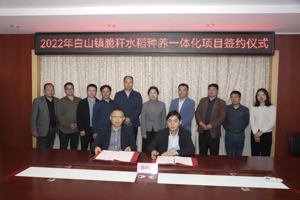 央媒密集聚焦的背后,凯发k8给出了方案4.png